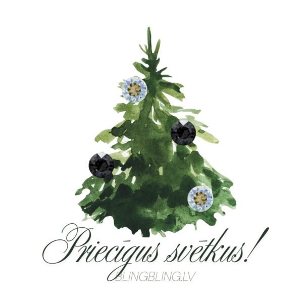 #5 Sudraba auskaru komplekts - Moonlight & Silver Night