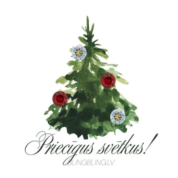 #6 Sudraba auskaru komplets - Moonlight & Scarlet