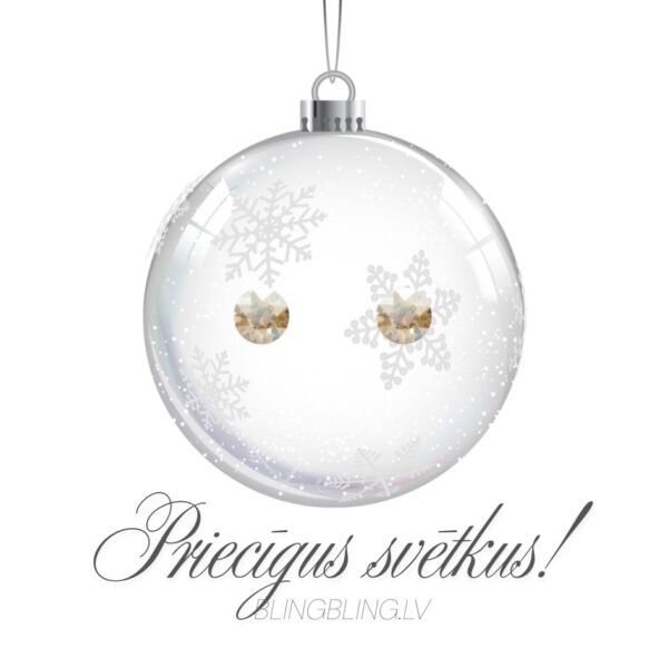 #4 Sudraba auskari  - Golden Shadow